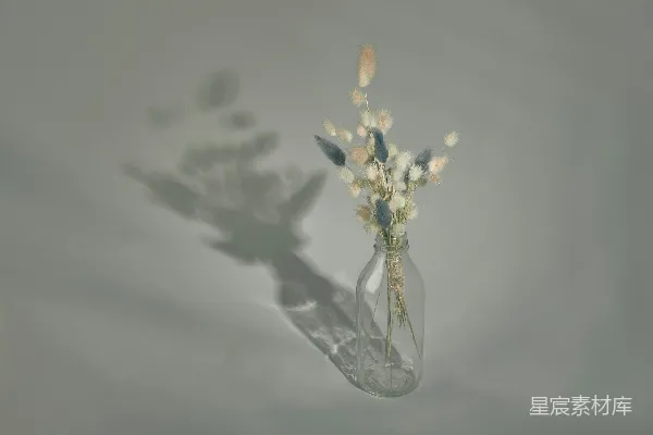 高清摄影 桌子上有一只装着一些花的花瓶。