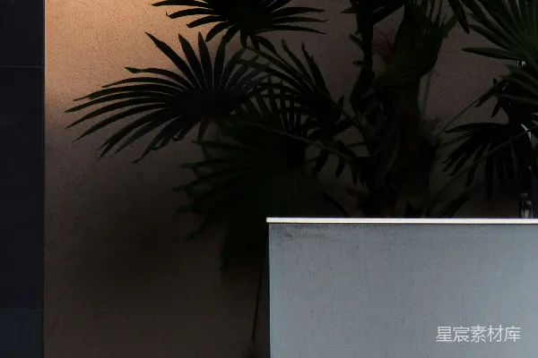 高清摄影 一只白色冰箱放在一株植物旁边。