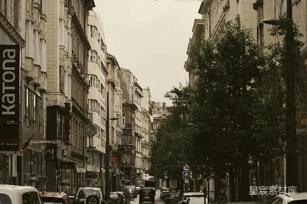 一条停满汽车的街道