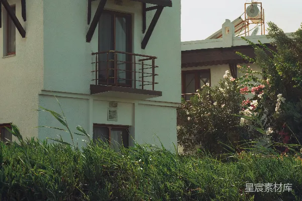 高清摄影 一座白色的建筑，上面有一只鸟。