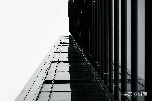 高清摄影 一张黑白照片，显示了一座高楼。