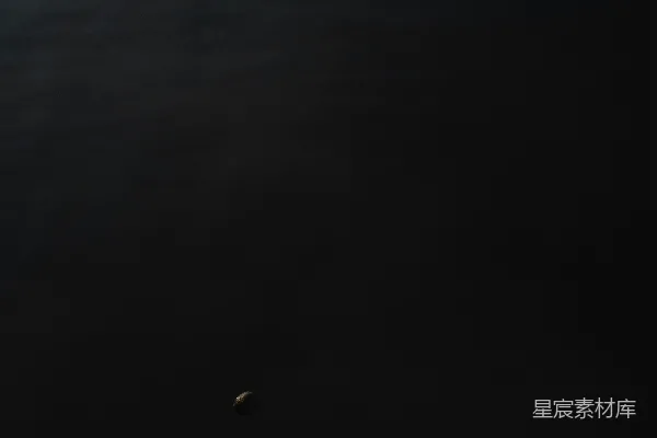 高清摄影 夜晚的水域