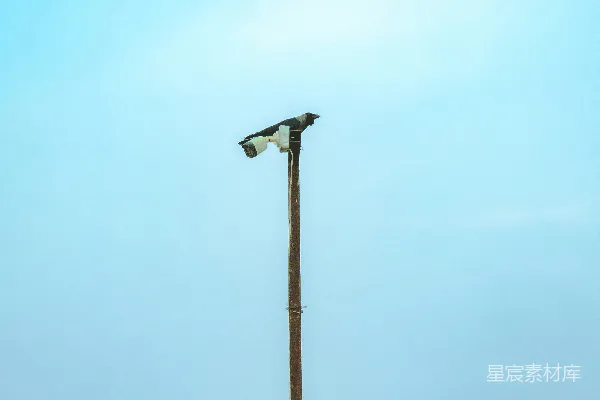 高清摄影 路灯杆上的路灯，背景是天空。