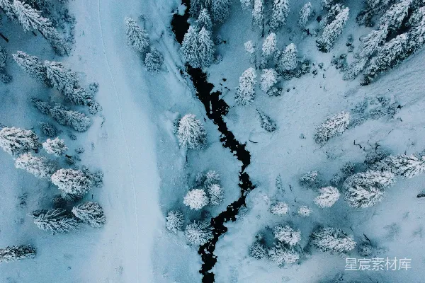 覆盖着白雪的森林俯瞰图