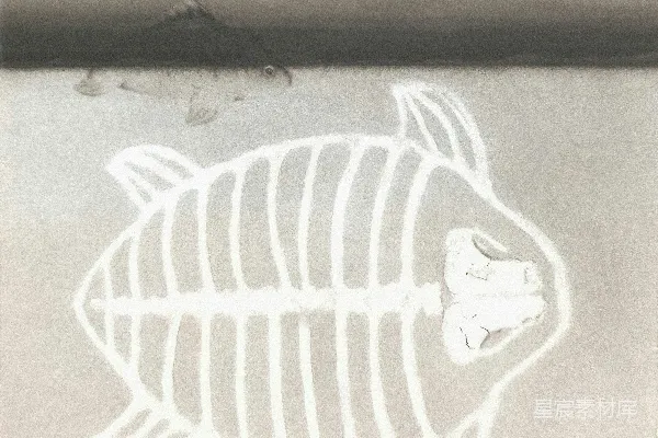 水中的鱼骨架