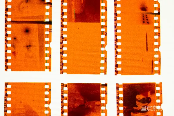 高清摄影 一套六张胶片，每张上有猫的图片。