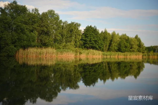 平静的湖泊倒映着翠绿的树木和金黄的芦苇。