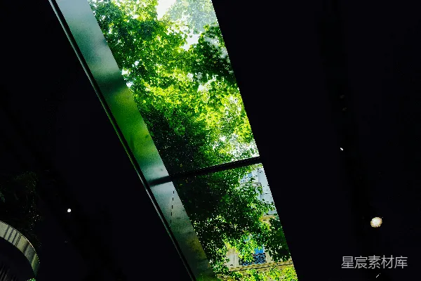 透过长长的矩形天窗能看到绿树的叶子。