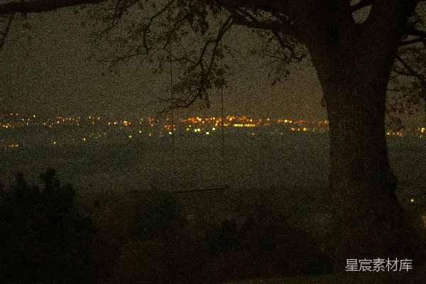 树下夜晚的一张长椅俯瞰一座城市
