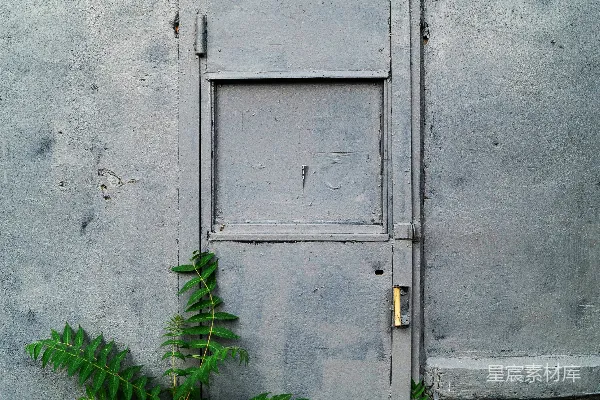 绿叶植物环绕着灰色金属门