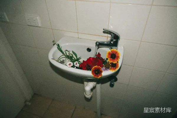 高清摄影 白色陶瓷底座水槽中的各种花卉