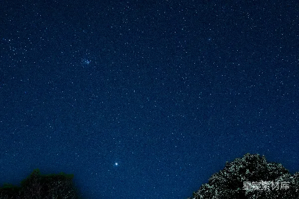 夜空满是星辰和树木
