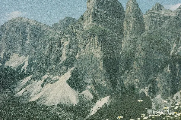高清摄影 一片野花田，背景是山。