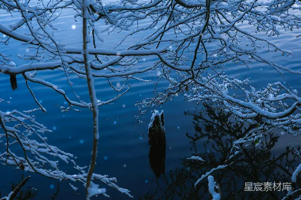 覆盖着积雪的树枝倒映在一条黑暗而波光粼粼的水体上。