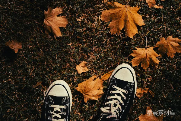 一双黑白 converse 鞋子放在落叶之上