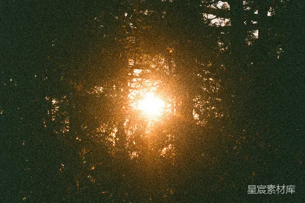 高清摄影 森林中间的太阳