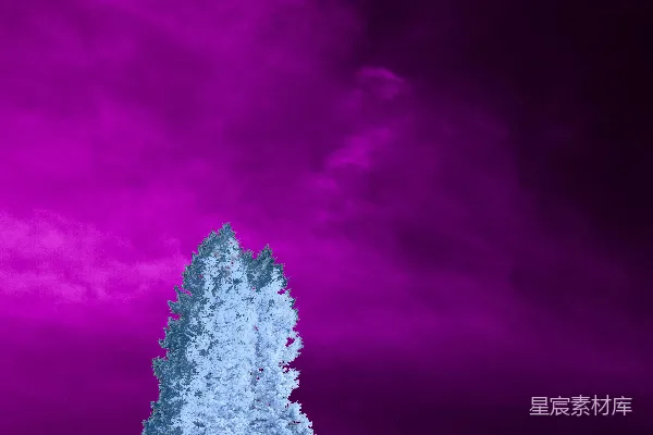 山间一棵孤立的树下，天空呈现出鲜艳的粉红色。