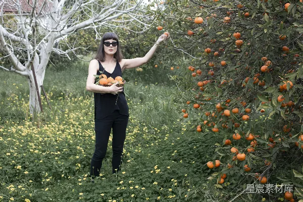 黑色连衣裙上身穿白色T恤和黑色长裤的女人在白天的绿色草地上站立。