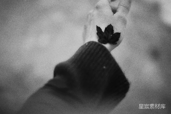 一只手拿着一片小的暗色叶子