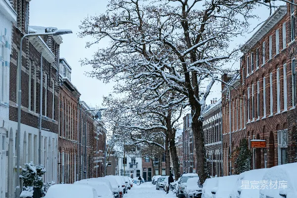 安静街道上停着被雪覆盖的汽车。