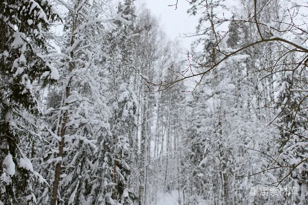 一个人在雪地里滑雪滑行