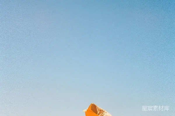 高清摄影 白天的棕色沙滩