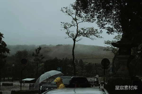 撑伞的人正在雨中。