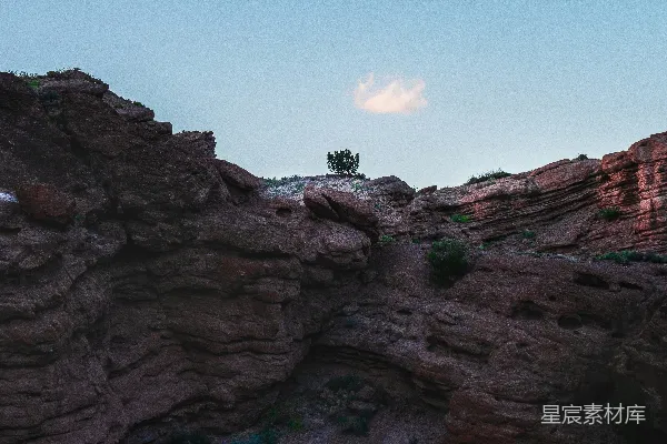 白天绿树点缀在棕色岩石形成的景观中