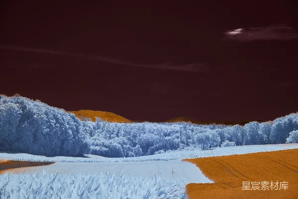 蓝树矗立在暗天之下。