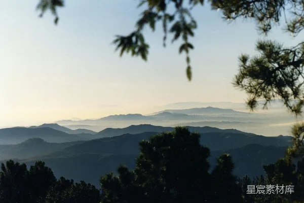 山间白天绿树