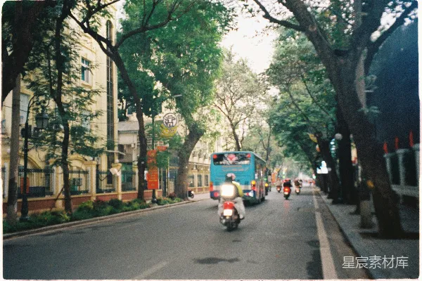 摩托车和公共汽车在一条树-lined城市街道上。