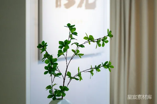 桌上放置了一个有植物的花瓶。