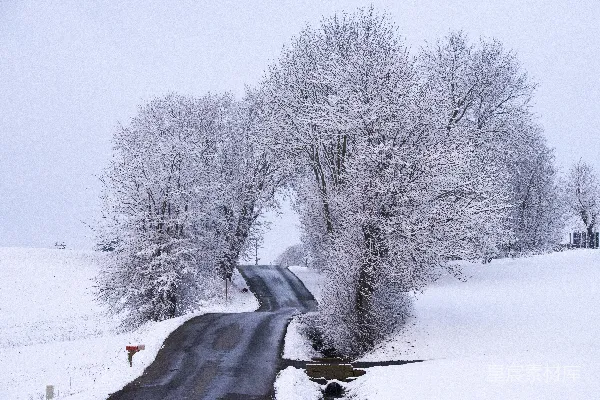路旁的树木覆盖着白雪