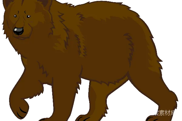 元素素材 熊