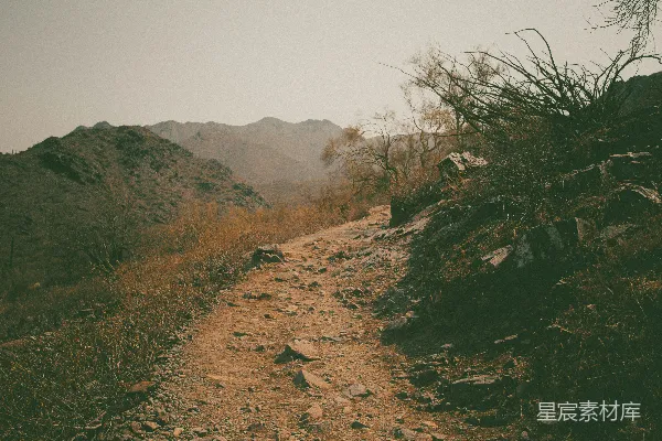 绿色草地上的褐色土壤