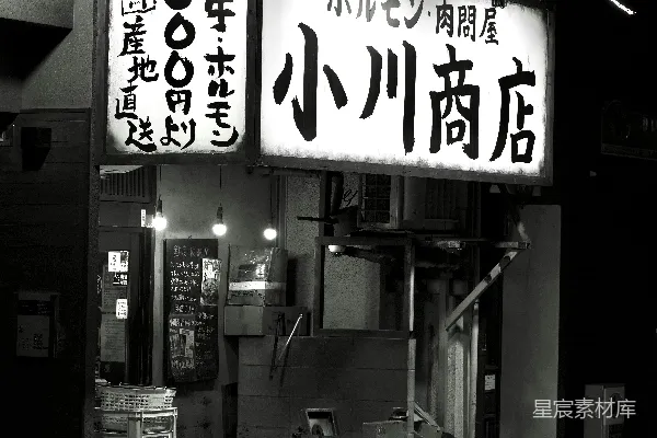 高清摄影 夜晚灯火通明的日本商店招牌。