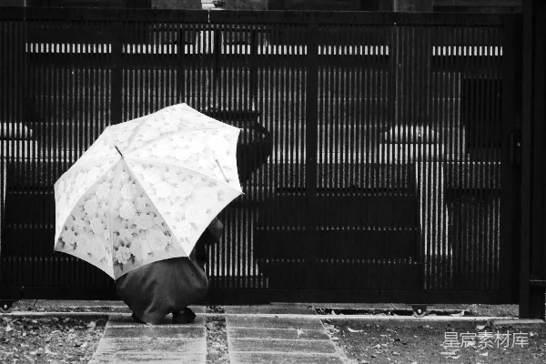 高清摄影 黑白色照片中的雨伞放在砖地上