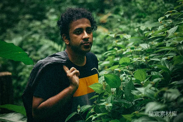 一个男人站在一片茂密翠绿的森林中央。