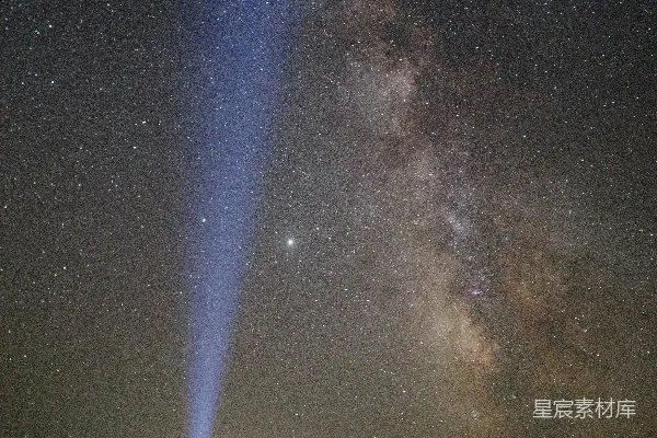 夜空下树的轮廓