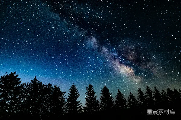 树下的星空夜空