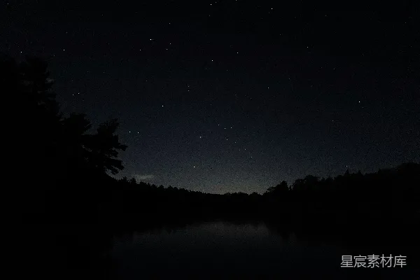 夜晚树木的轮廓