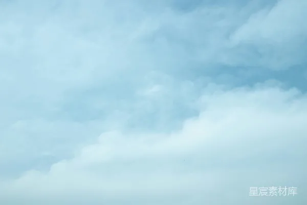 一群人在一片翠绿的田野上站立。
