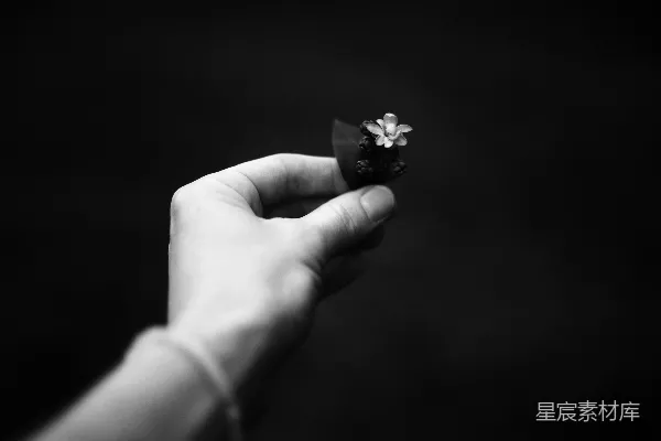 一张黑白照片，手拿着一朵花。