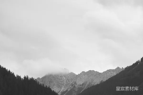 高清摄影 一座覆盖着雪的山，山上长着树木。
