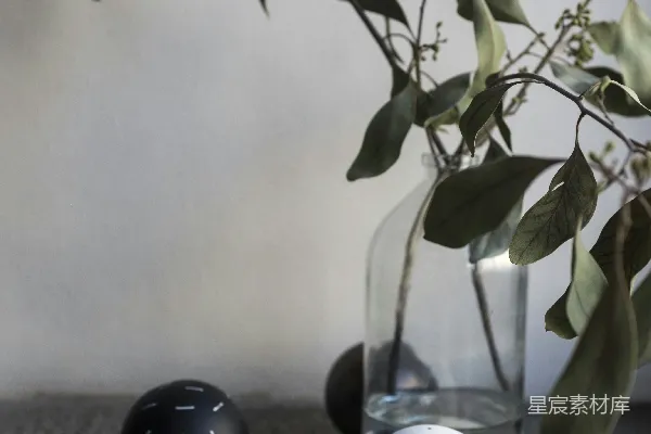 绿色植物上白色和黑色方点图案的鸡蛋