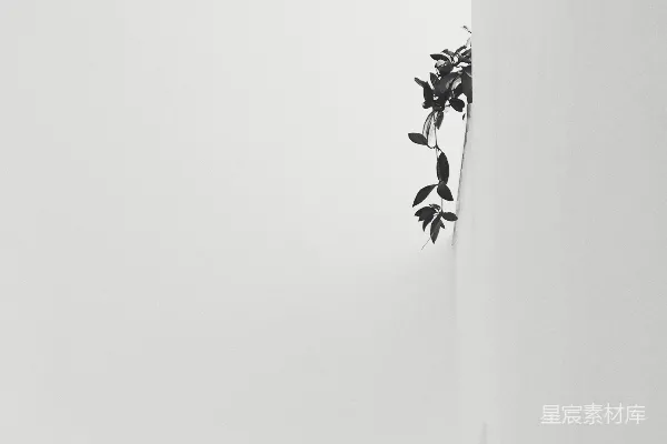 高清摄影 一张黑白照片，展示了一段楼梯。