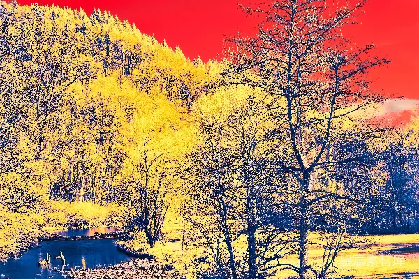 一幅环绕着树木的河流画作