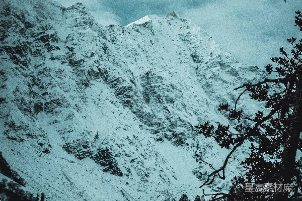 山顶覆盖着白雪，前景有树木。