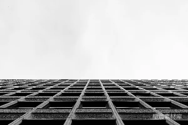 高清摄影 一张黑白照片，显示了一座高大的建筑。