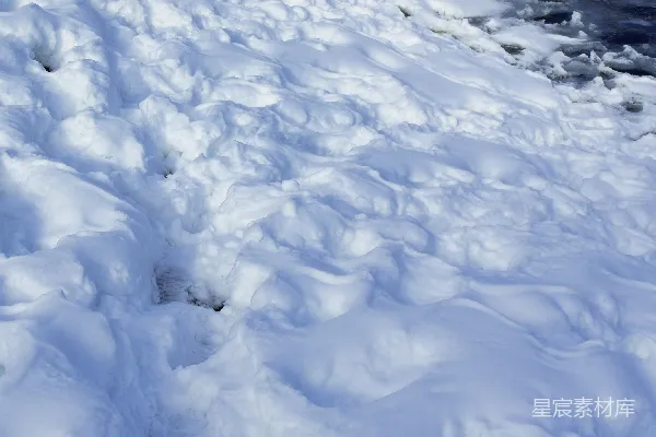 雪地里的脚印靠近一片水域